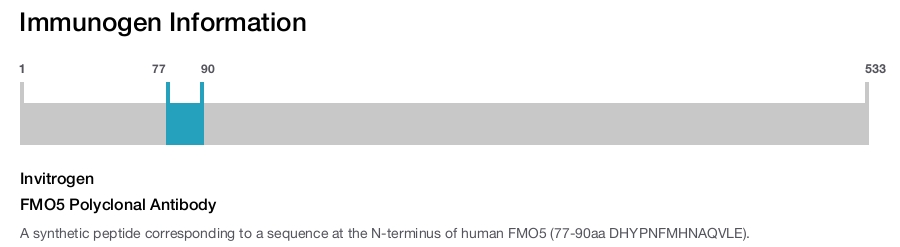 FMO5 Polyclonal Antibody