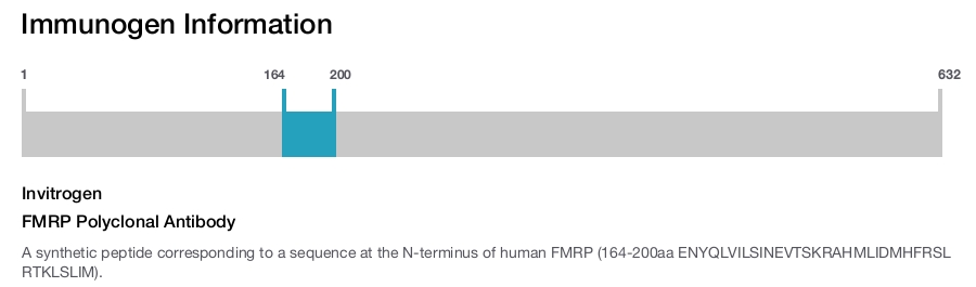 FMRP Polyclonal Antibody