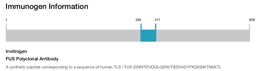 FUS Polyclonal Antibody