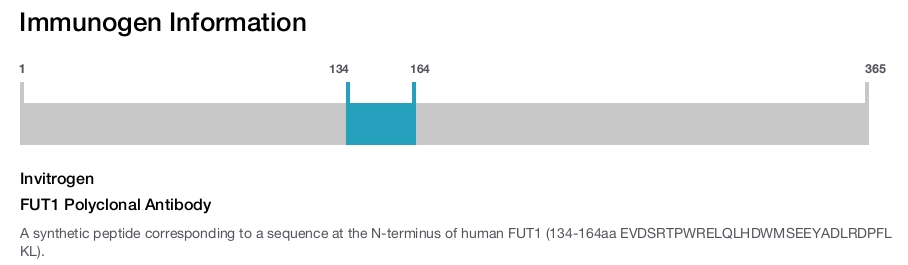 FUT1 Polyclonal Antibody