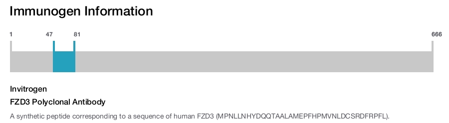 FZD3 Polyclonal Antibody