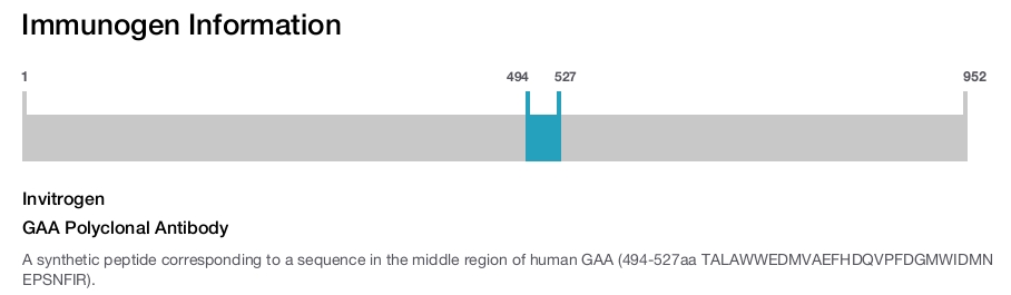 GAA Polyclonal Antibody