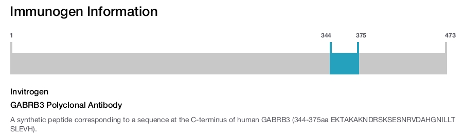 GABRB3 Polyclonal Antibody