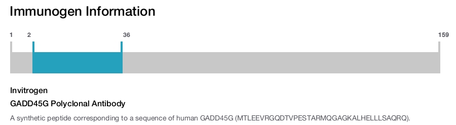 GADD45G Polyclonal Antibody