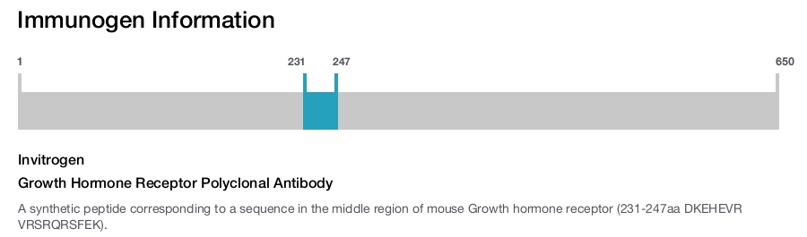 Growth Hormone Receptor Polyclonal Antibody