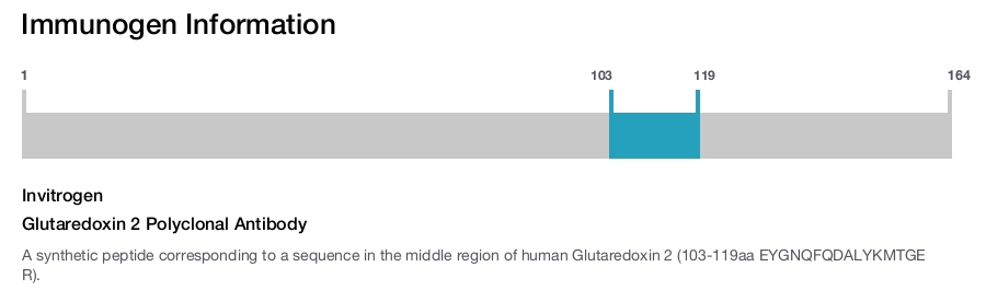 Glutaredoxin 2 Polyclonal Antibody