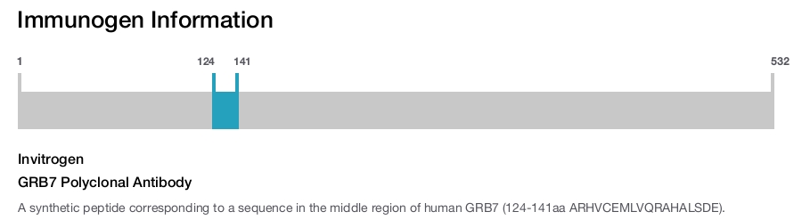 GRB7 Polyclonal Antibody