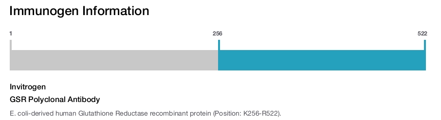 GSR Polyclonal Antibody