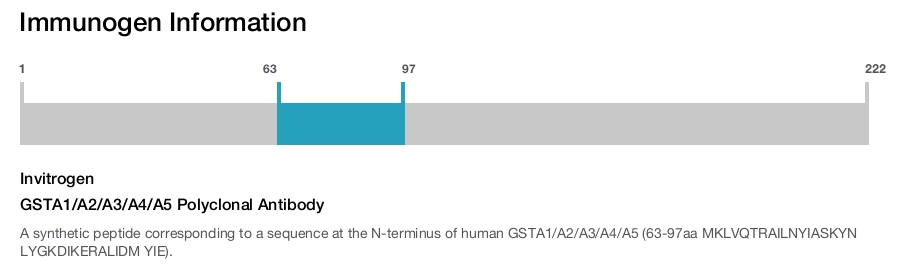 GSTA1/A2/A3/A4/A5 Polyclonal Antibody