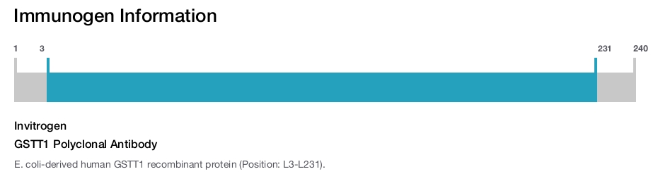 GSTT1 Polyclonal Antibody