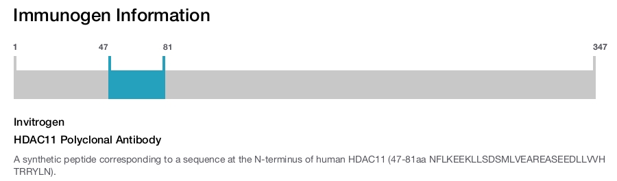 HDAC11 Polyclonal Antibody