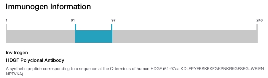 HDGF Polyclonal Antibody
