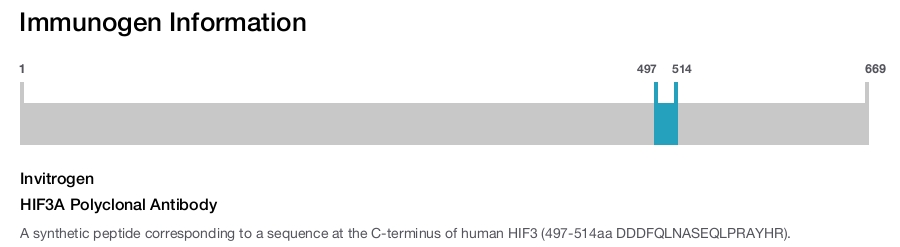 HIF3A Polyclonal Antibody