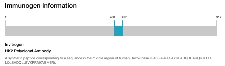 HK2 Polyclonal Antibody