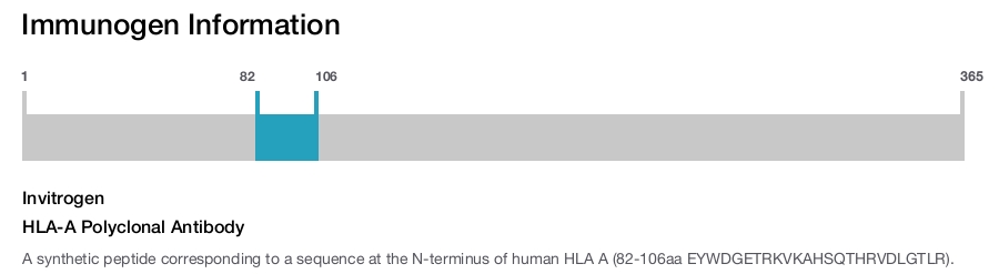 HLA-A Polyclonal Antibody