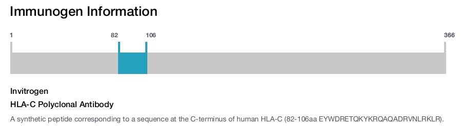 HLA-C Polyclonal Antibody