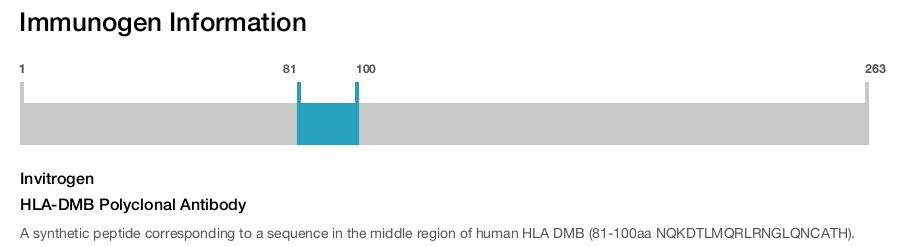 HLA-DMB Polyclonal Antibody
