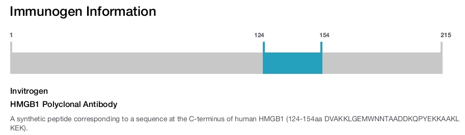 HMGB1 Polyclonal Antibody
