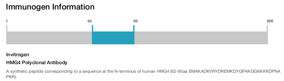 HMG4 Polyclonal Antibody