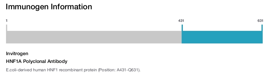 HNF1A Polyclonal Antibody
