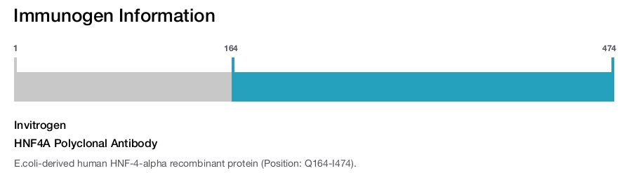 HNF4A Polyclonal Antibody
