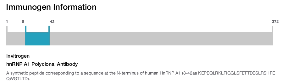 hnRNP A1 Polyclonal Antibody