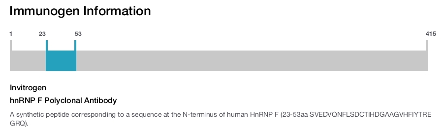 hnRNP F Polyclonal Antibody