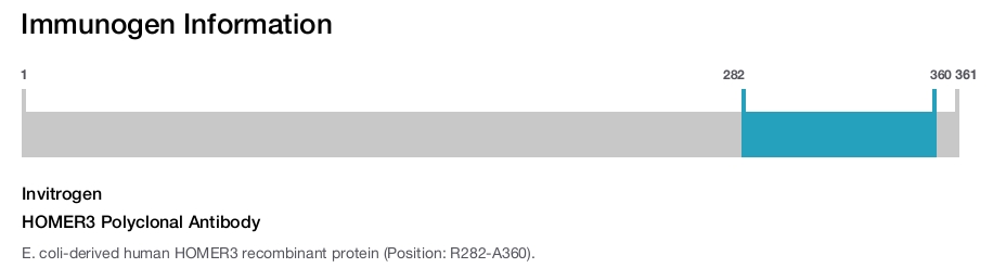 HOMER3 Polyclonal Antibody