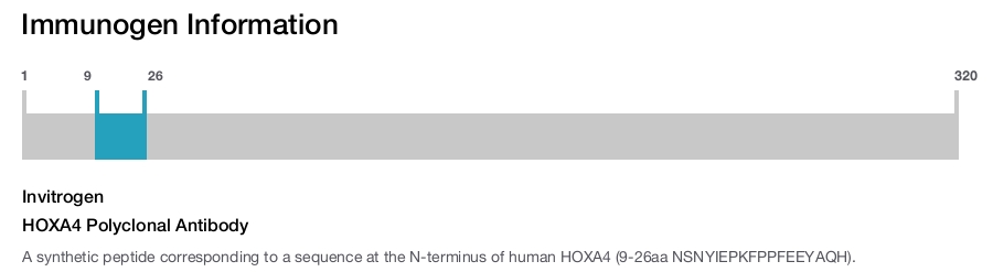 HOXA4 Polyclonal Antibody