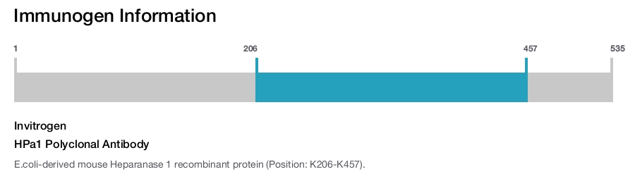 HPa1 Polyclonal Antibody