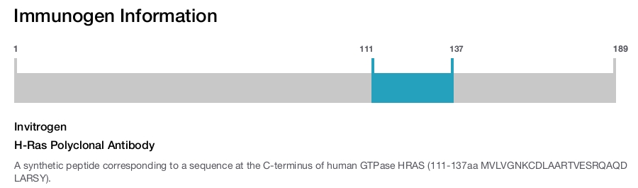 H-Ras Polyclonal Antibody
