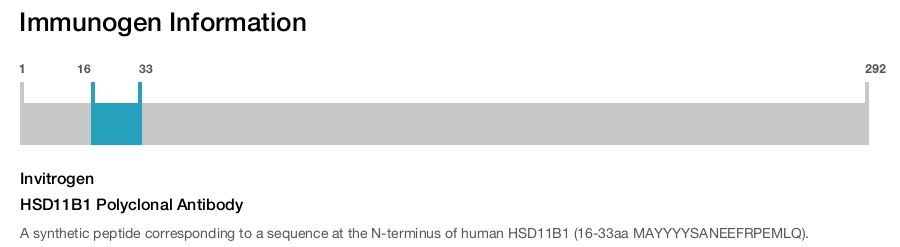 HSD11B1 Polyclonal Antibody