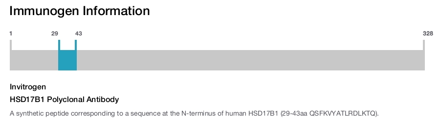 HSD17B1 Polyclonal Antibody