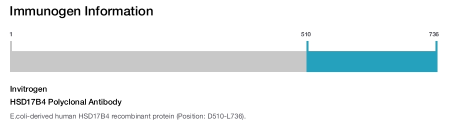 HSD17B4 Polyclonal Antibody