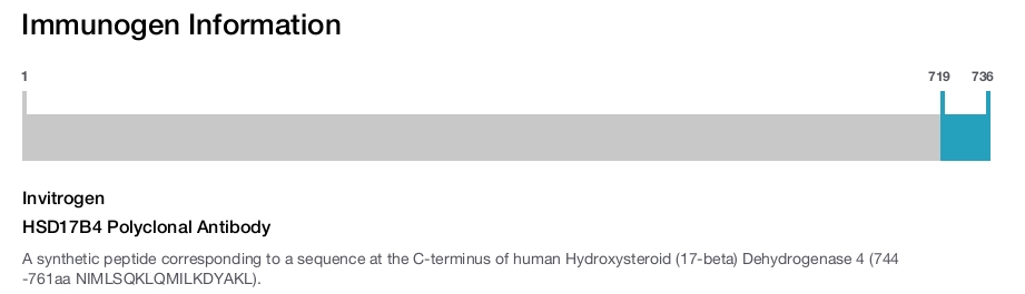 HSD17B4 Polyclonal Antibody