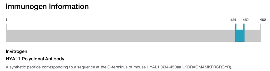 HYAL1 Polyclonal Antibody