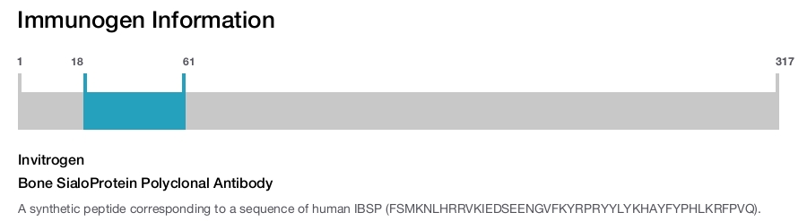 Bone SialoProtein Polyclonal Antibody