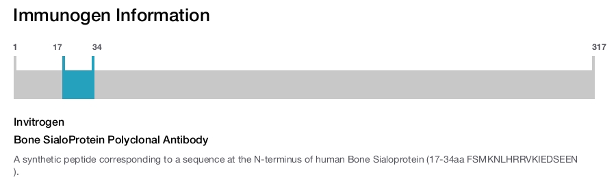 Bone SialoProtein Polyclonal Antibody