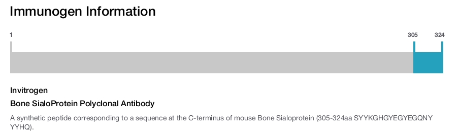 Bone SialoProtein Polyclonal Antibody