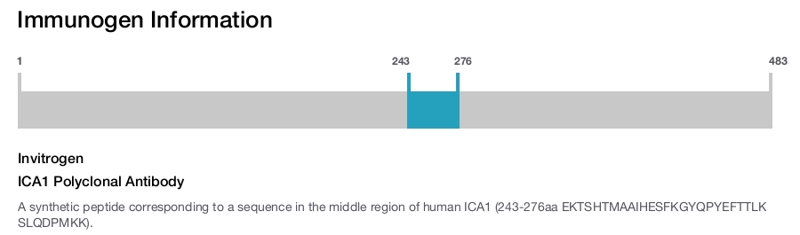 ICA1 Polyclonal Antibody