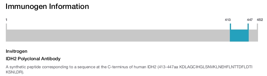 IDH2 Polyclonal Antibody