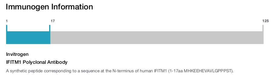 IFITM1 Polyclonal Antibody