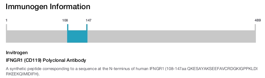 IFNGR1 (CD119) Polyclonal Antibody