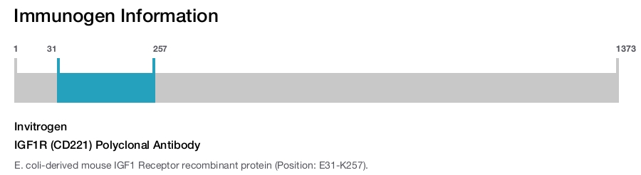 IGF1R (CD221) Polyclonal Antibody