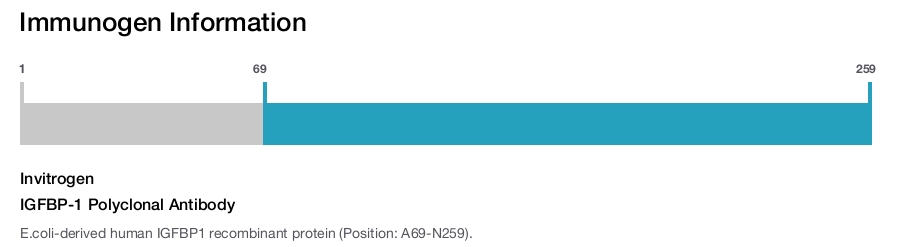 IGFBP-1 Polyclonal Antibody