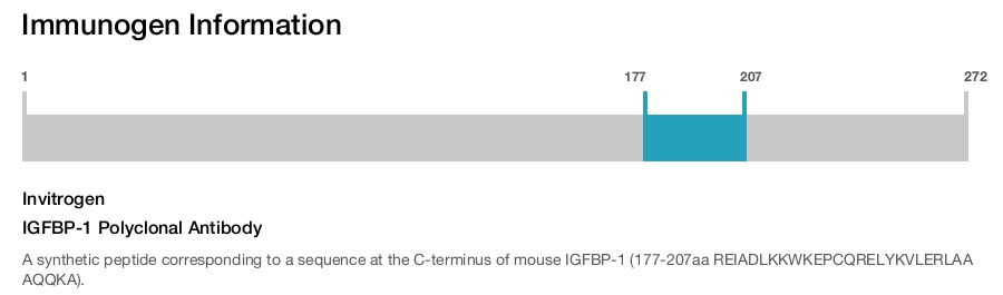 IGFBP-1 Polyclonal Antibody