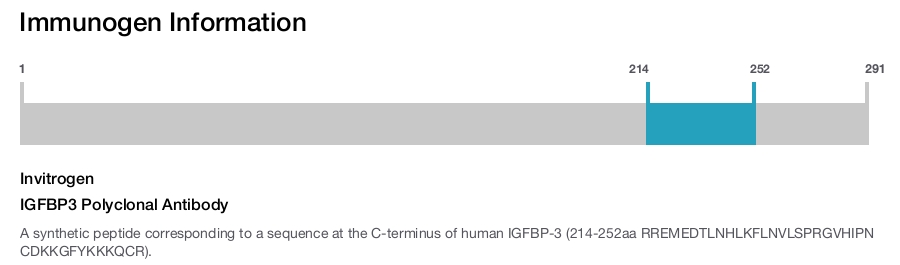 IGFBP3 Polyclonal Antibody