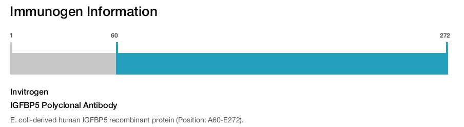 IGFBP5 Polyclonal Antibody