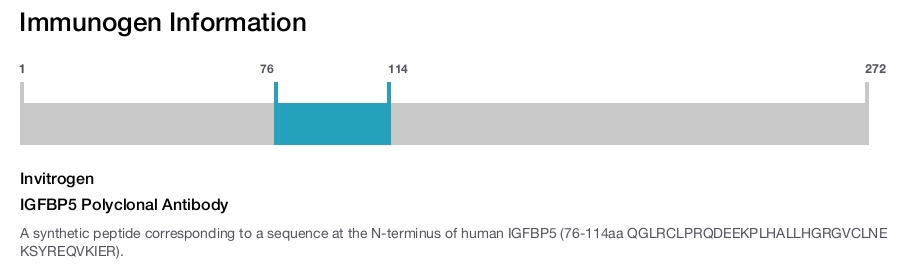 IGFBP5 Polyclonal Antibody
