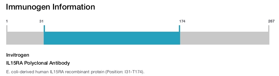 IL15RA Polyclonal Antibody